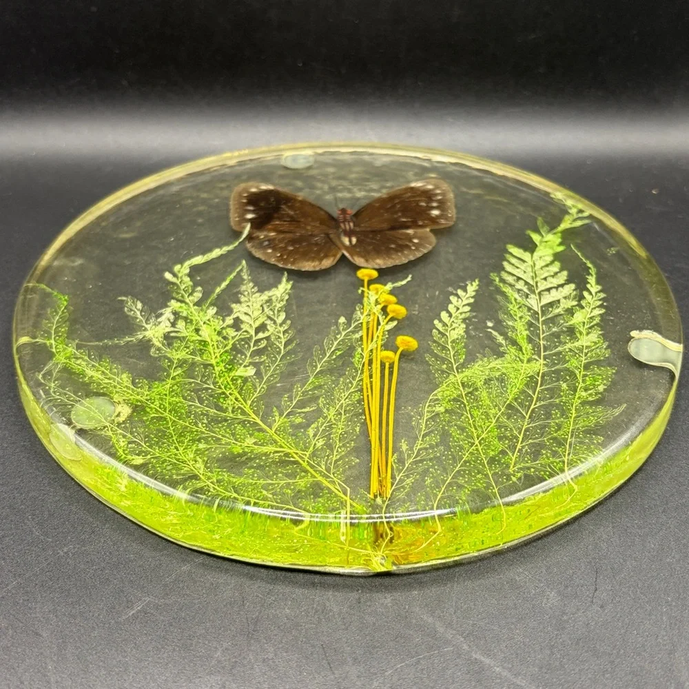Vintage Butterfly Dried Flowers Trivet Resin Acrylic Lucite 1970s Kitchen Retro
